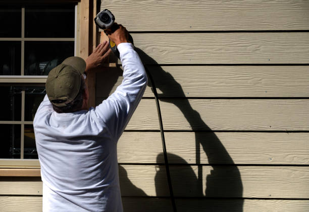 Best Weatherproofing and Sealing  in Viola, IL