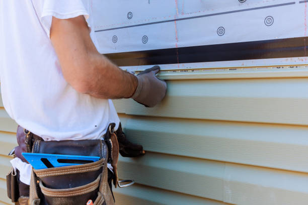 Best Steel Siding Installation  in Viola, IL